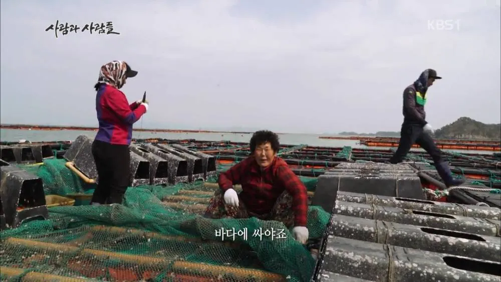 한국산 굴 먹으면 안되는 이유 | 인스티즈