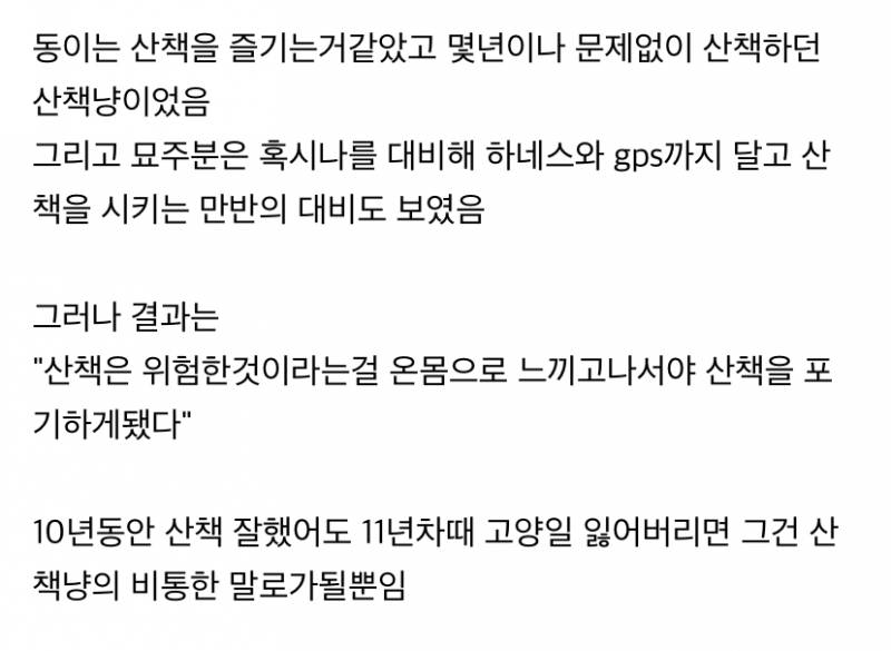 사실 고양이 산책 묘바묘다? 산책 좋아하는 애들도 있다? | 인스티즈