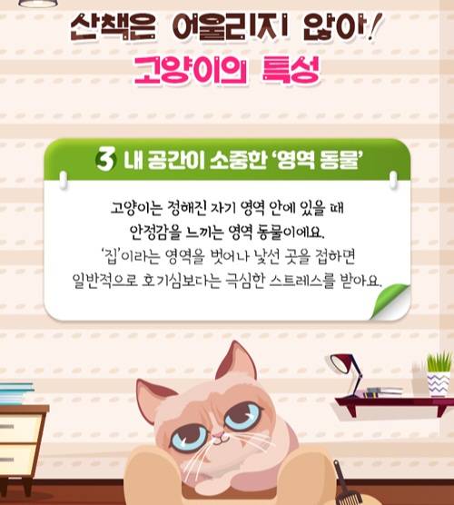 사실 고양이 산책 묘바묘다? 산책 좋아하는 애들도 있다? | 인스티즈