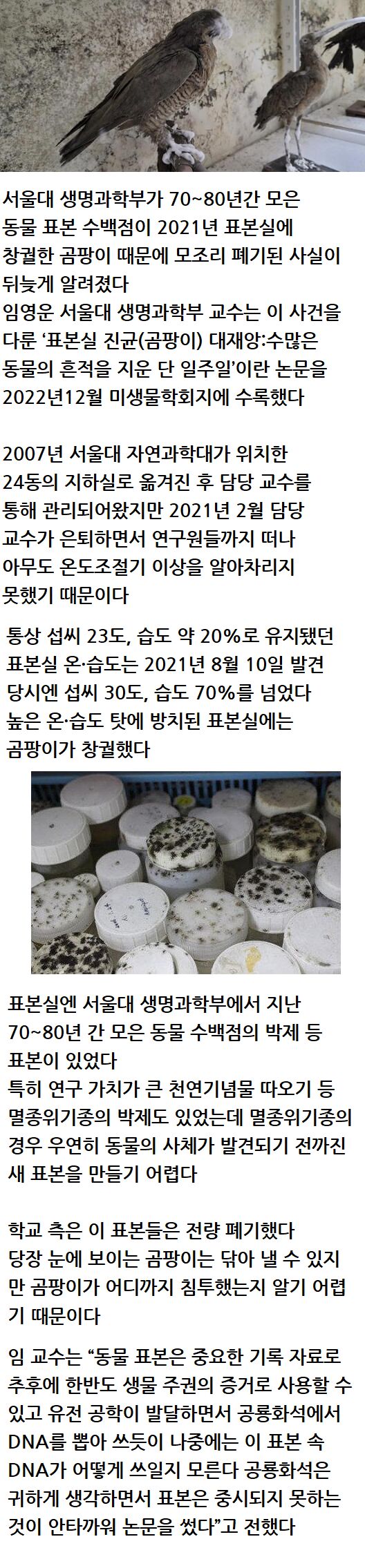 서울대 생명과학부가 80년간 모은 표본 수백점이 폐기된 이유 | 인스티즈