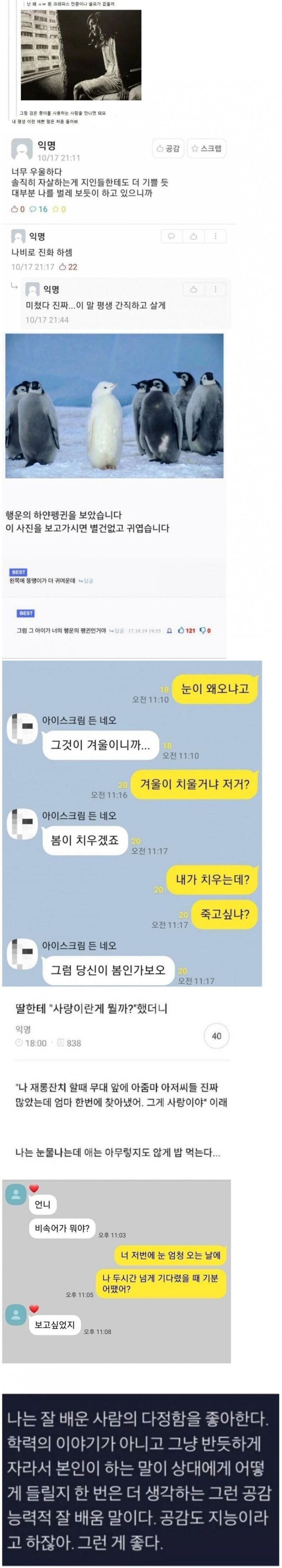 혐오에 지친 커뮤에 따뜻하고 다정한 말 한마디 | 인스티즈
