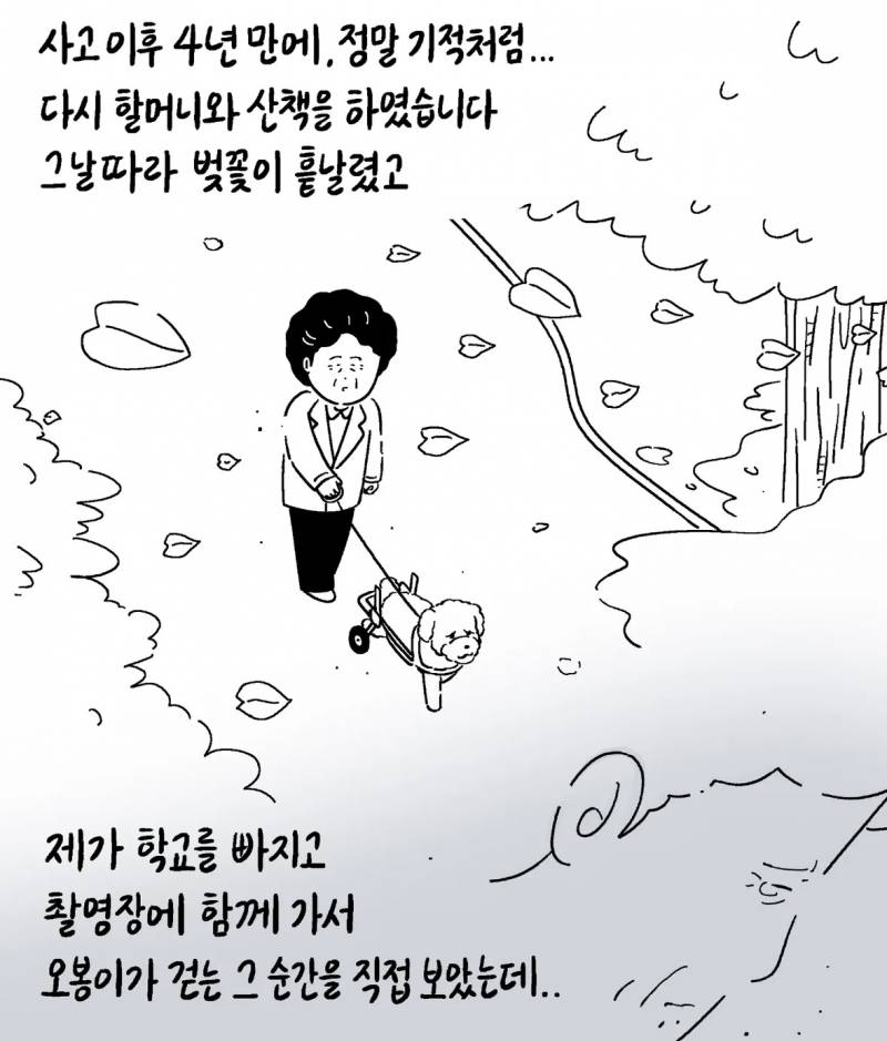 반려동물 자랑대회 당선작 | 인스티즈