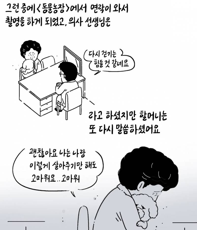 반려동물 자랑대회 당선작 | 인스티즈