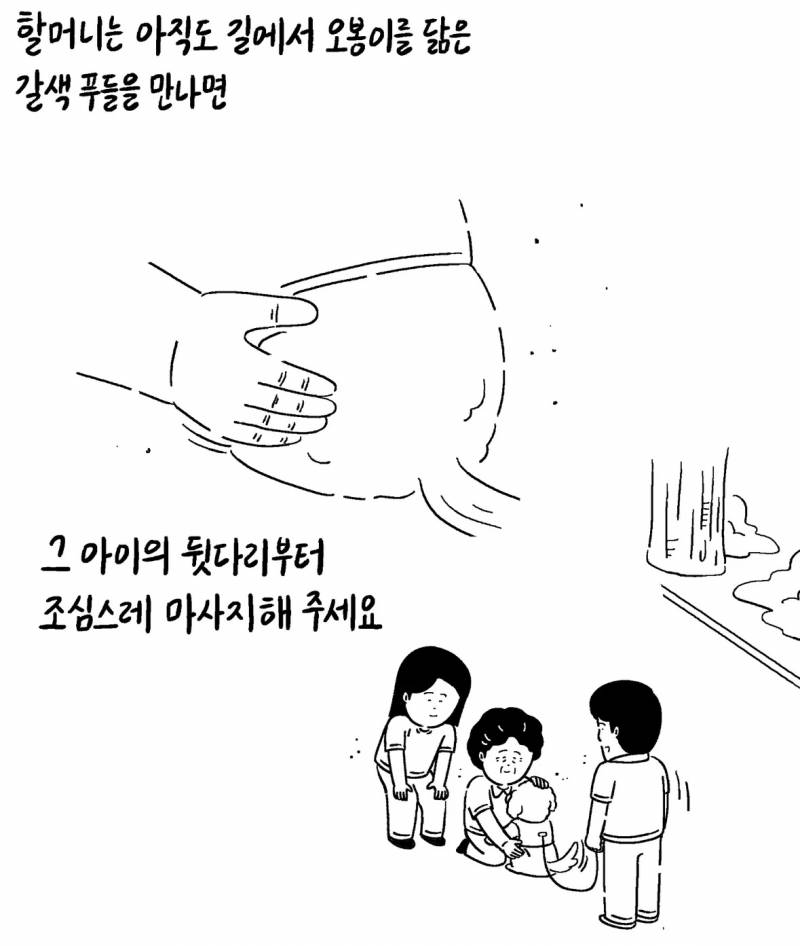 반려동물 자랑대회 당선작 | 인스티즈