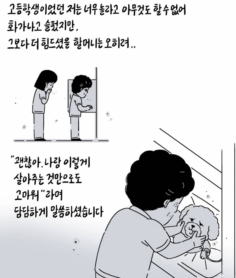 반려동물 자랑대회 당선작 | 인스티즈