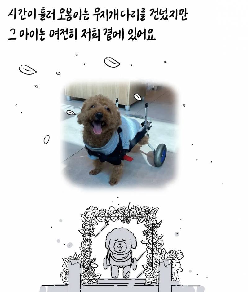 반려동물 자랑대회 당선작 | 인스티즈