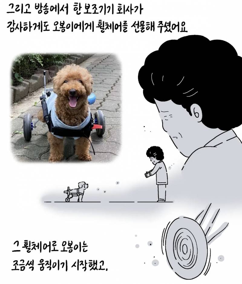 반려동물 자랑대회 당선작 | 인스티즈