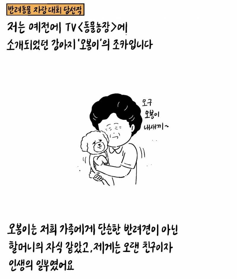 반려동물 자랑대회 당선작 | 인스티즈