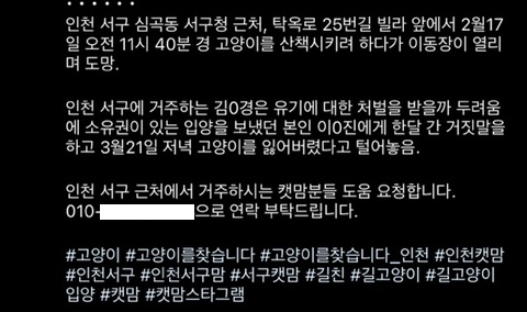 [잡담] 한때 고양이 산책이 sns에서 유행했던 결과 | 인스티즈