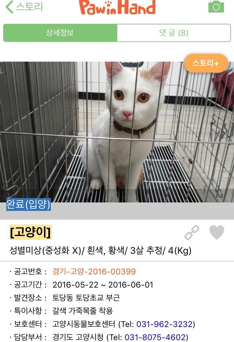 [잡담] 한때 고양이 산책이 sns에서 유행했던 결과 | 인스티즈