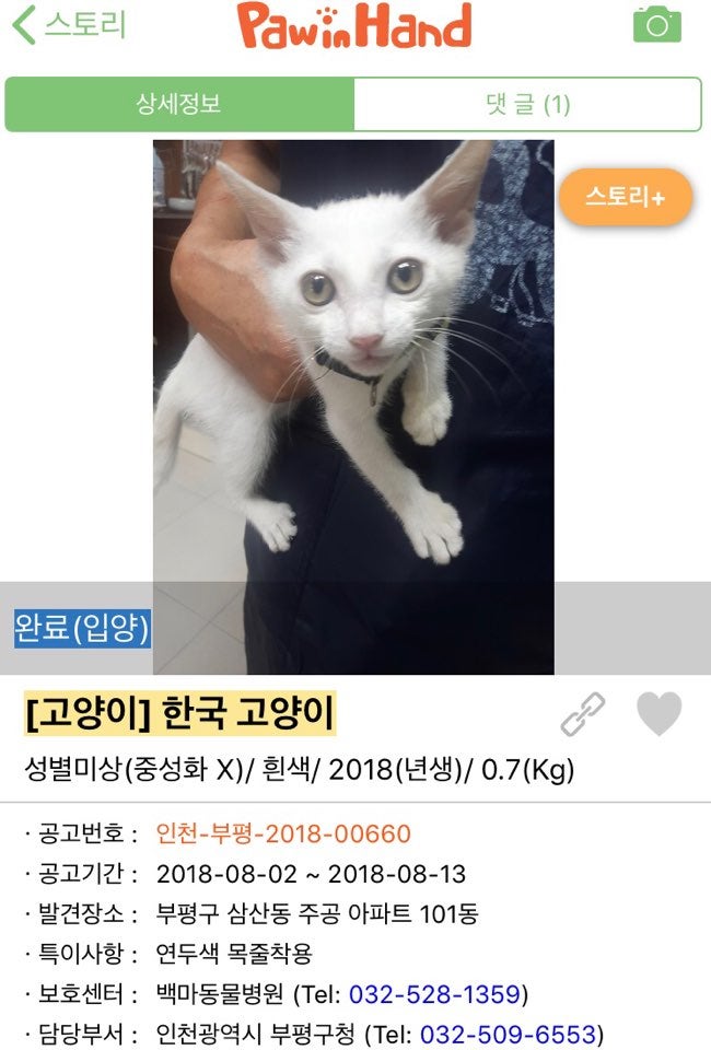 [잡담] 한때 고양이 산책이 sns에서 유행했던 결과 | 인스티즈