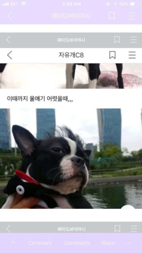 너네 이정도로 오타내본적있음???(스압) | 인스티즈
