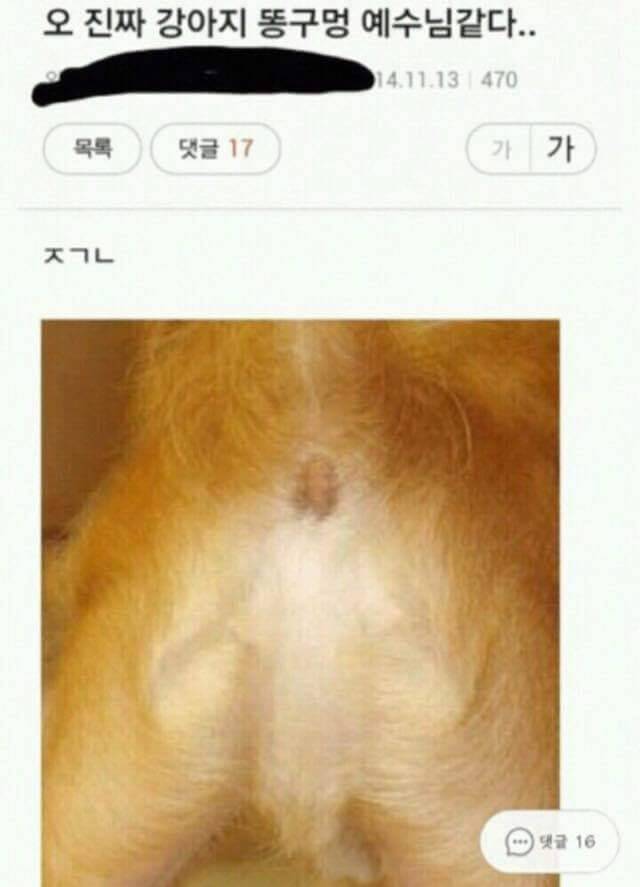 너네 이정도로 오타내본적있음???(스압) | 인스티즈