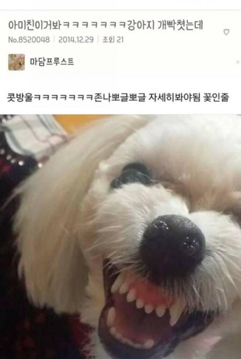 너네 이정도로 오타내본적있음???(스압) | 인스티즈