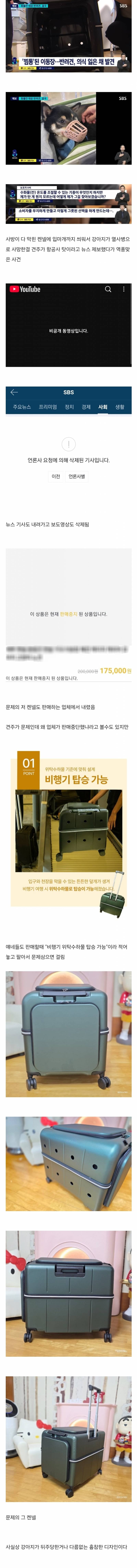 기사 삭제엔딩난 비행기 강아지 사망사고 | 인스티즈