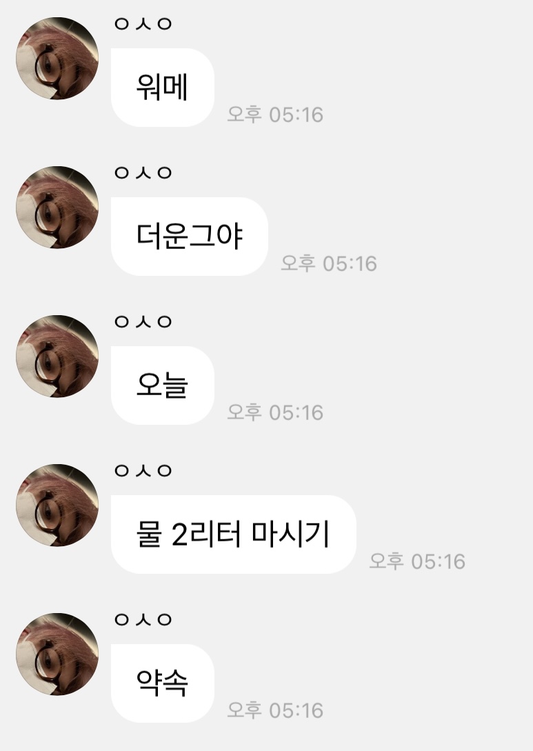 [잡담] 흔한 전라도 출신 아이돌의 버블 | 인스티즈
