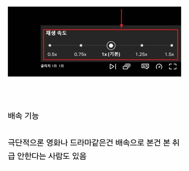 안 쓰는 사람은 절대 안 쓴다는 유튜브, 넷플릭스 등 기능 | 인스티즈