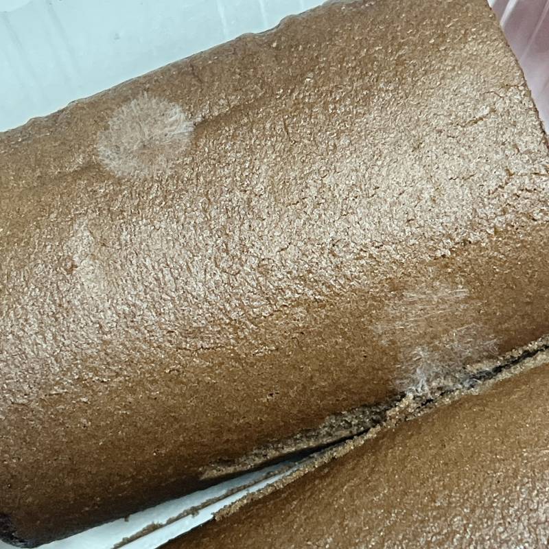 [잡담] 내 초코롤ㅠㅠ | 인스티즈