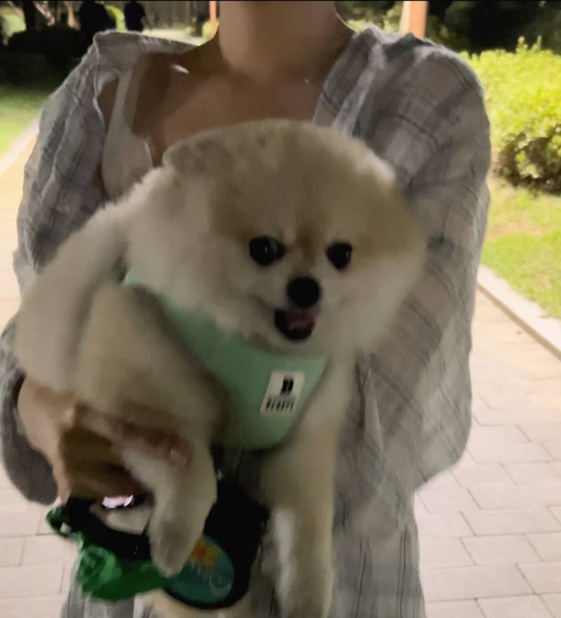 [잡담] 둥이덩치 | 인스티즈