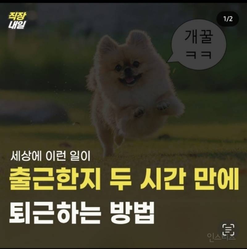 출근한지 2시간만에 퇴근하는 방법 | 인스티즈