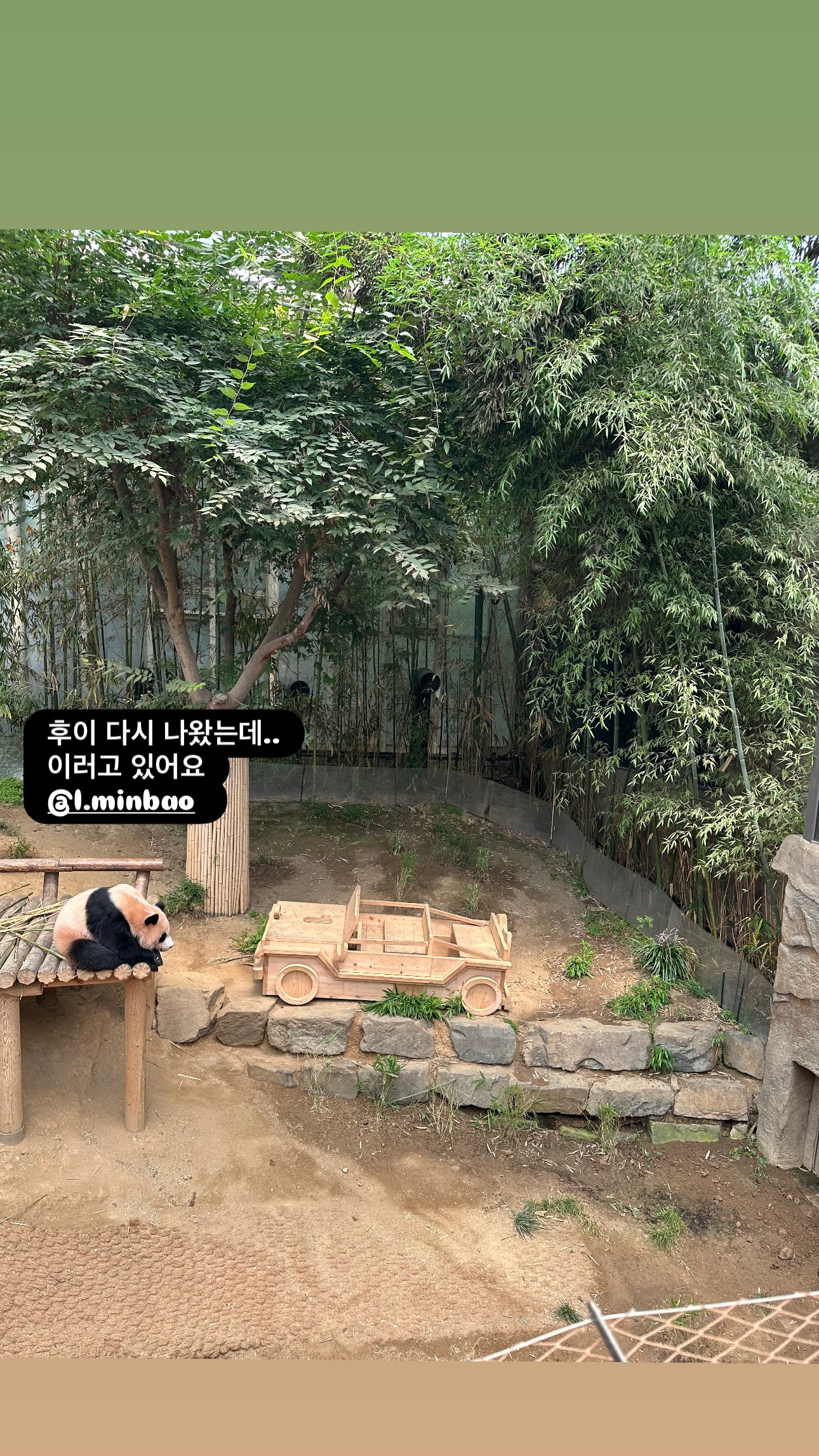 [잡담] 후이바오 독립 적응 하는데 시간 좀 걸리겠다 | 인스티즈