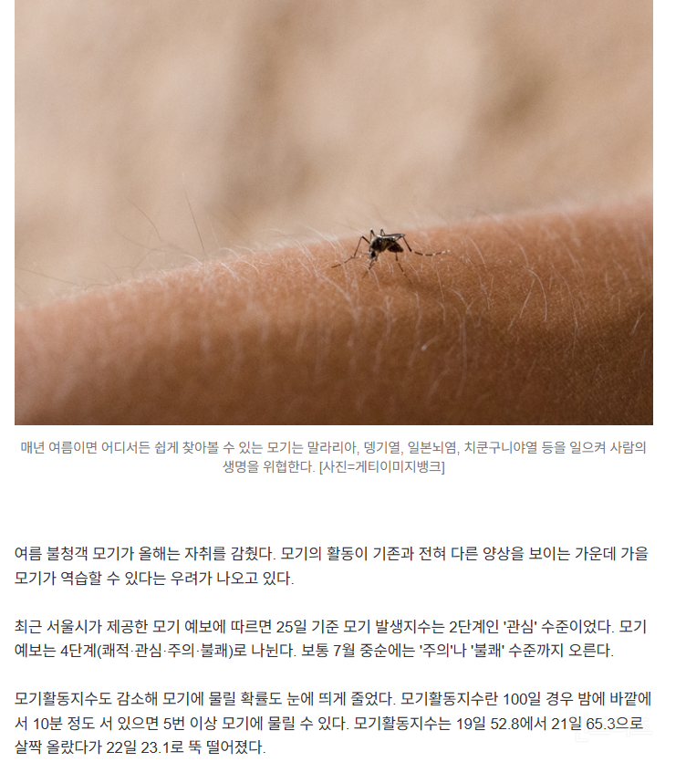 "요즘 모기가 없네?”…대신 9월 '가을 모기 역습' 경고, 무슨 일? | 인스티즈