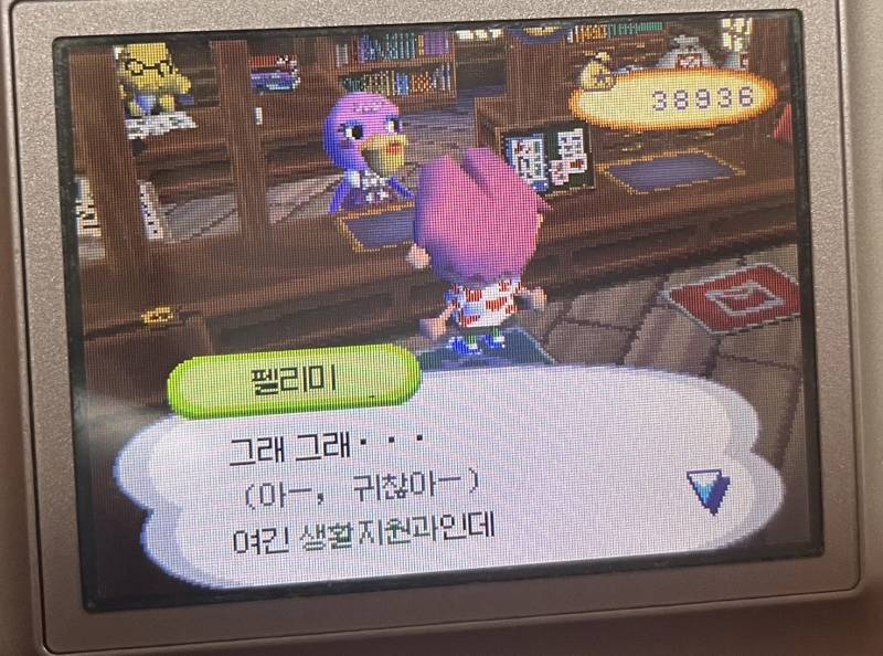 [잡담] 나이 먹으니 동숲 펠리미 이해됨 | 인스티즈