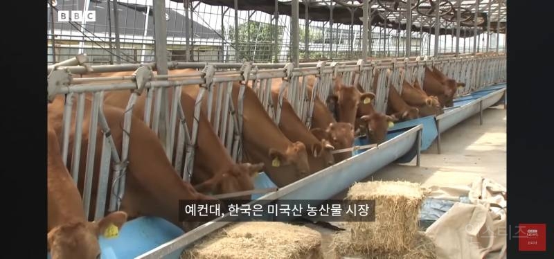 bbc기자가 본 오늘자 한미 관세 협상결과.jpg | 인스티즈