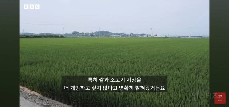 bbc기자가 본 오늘자 한미 관세 협상결과.jpg | 인스티즈