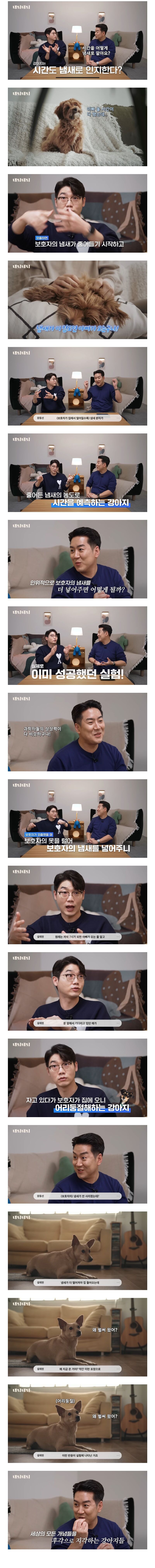 댕댕이는 내 퇴근시간을 어떻게 아는 걸까? | 인스티즈