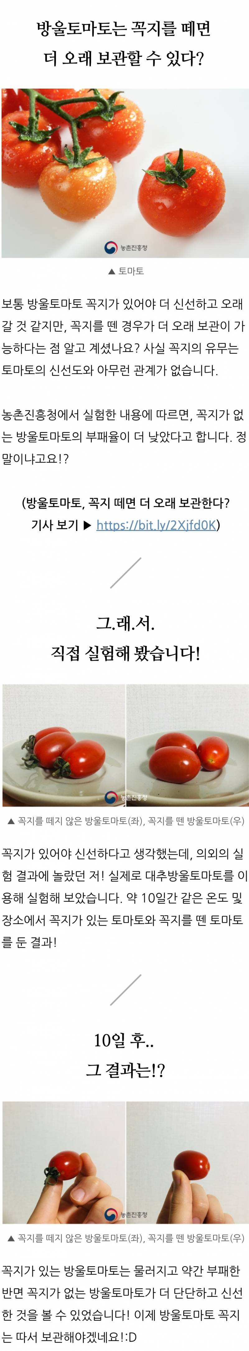 방울토마토는 꼭지를 떼면 더 오래 보관할 수 있다는거 몇살에 알게됐어? | 인스티즈