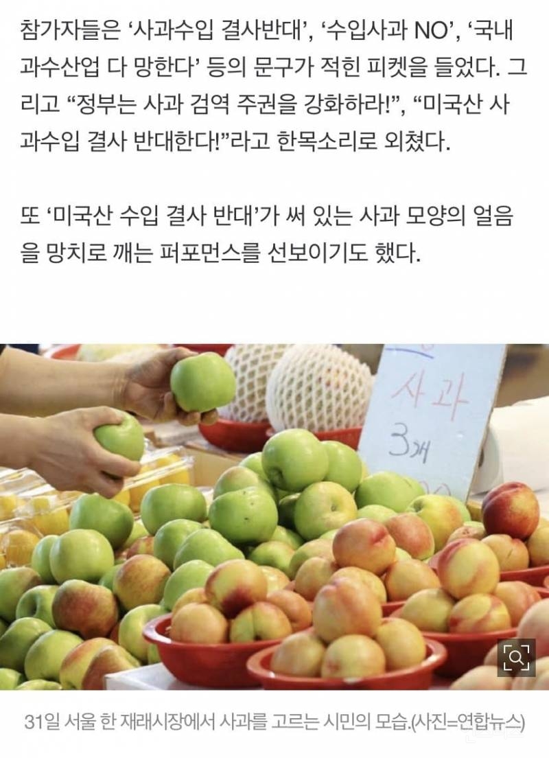 "미국 사과 절대 안돼" 망치들고온 과수 농가들 | 인스티즈