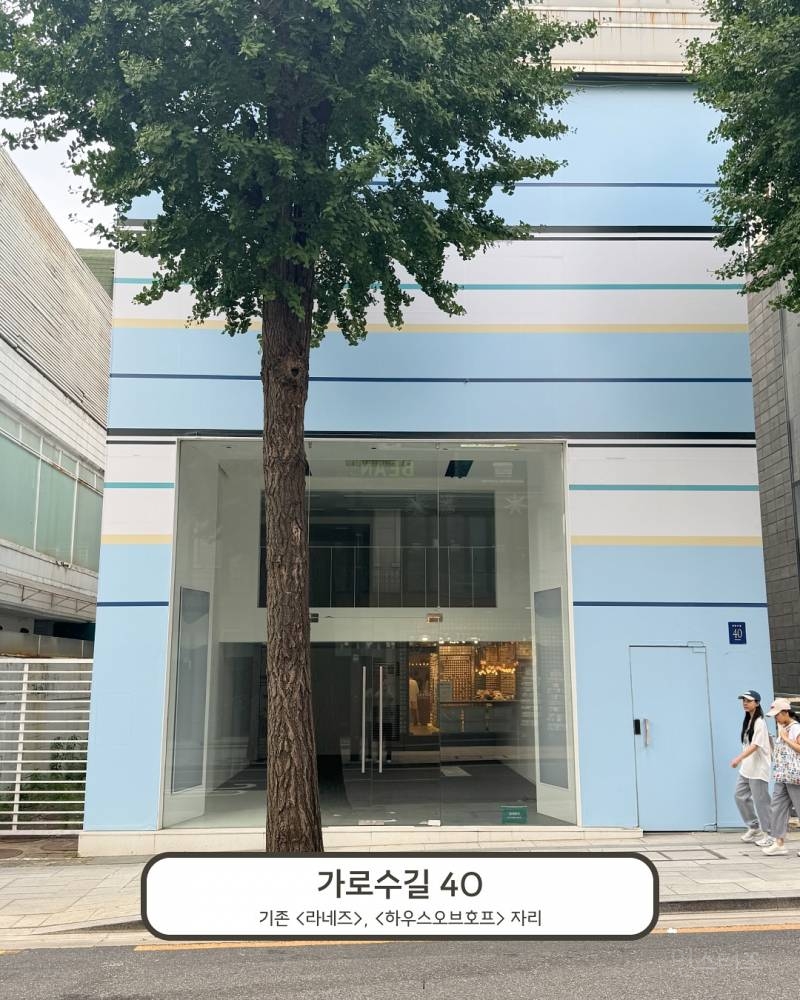 놀랍지도 않은 최근 가로수 길 공실 근황.jpg | 인스티즈