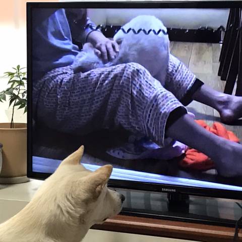 우리 애 아빠 보는 눈빛 봐....JPG (스압주의) | 인스티즈