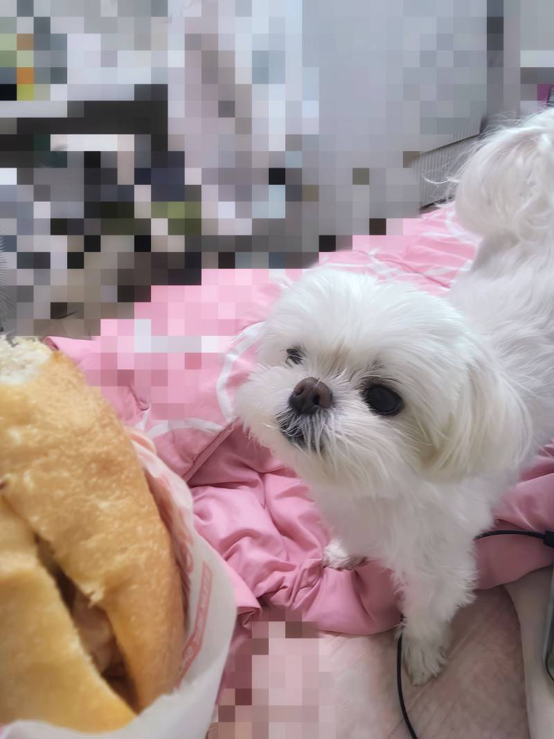 [잡담] 이번엔 내가 먹는 거 달래... | 인스티즈