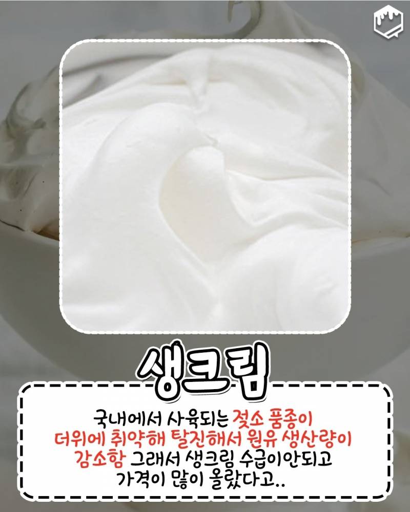 올여름 너무 더워서 이것도.. 없어졌대 | 인스티즈