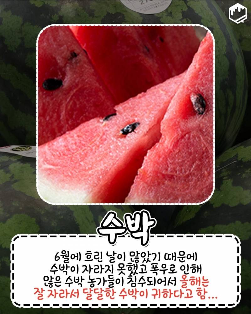 올여름 너무 더워서 이것도.. 없어졌대 | 인스티즈