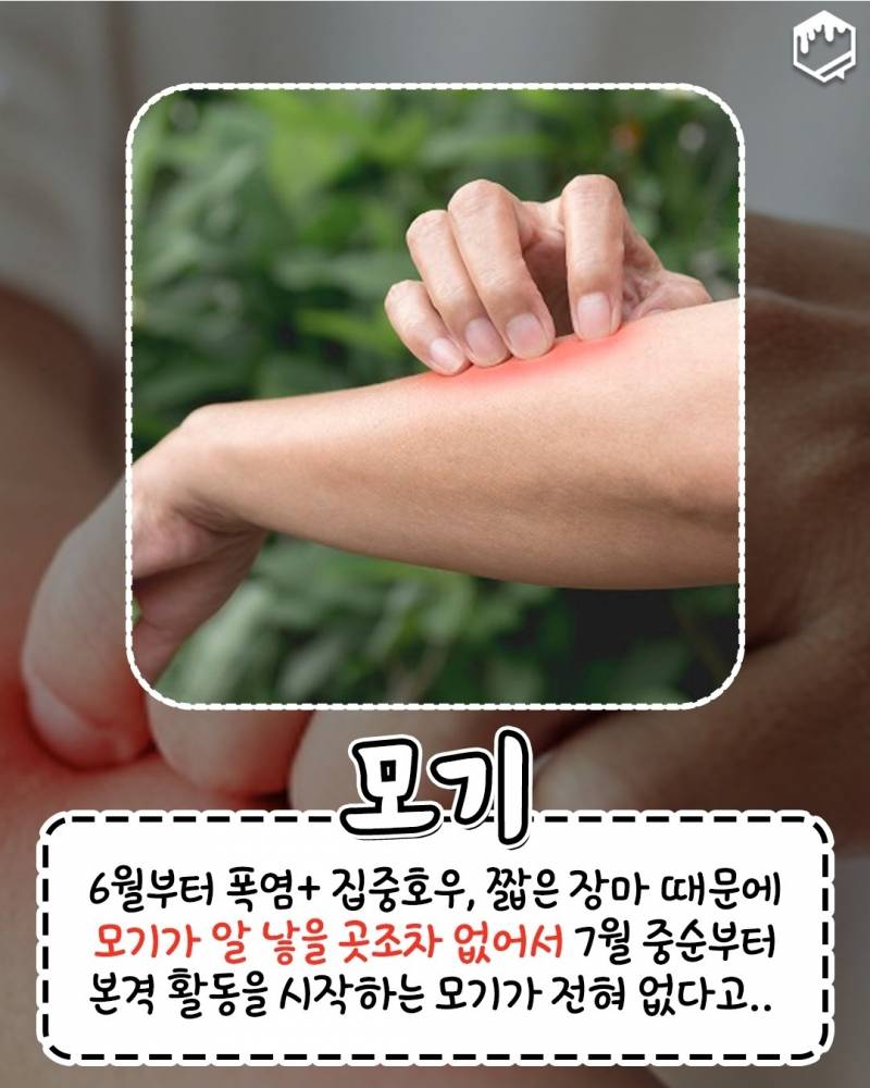 올여름 너무 더워서 이것도.. 없어졌대 | 인스티즈