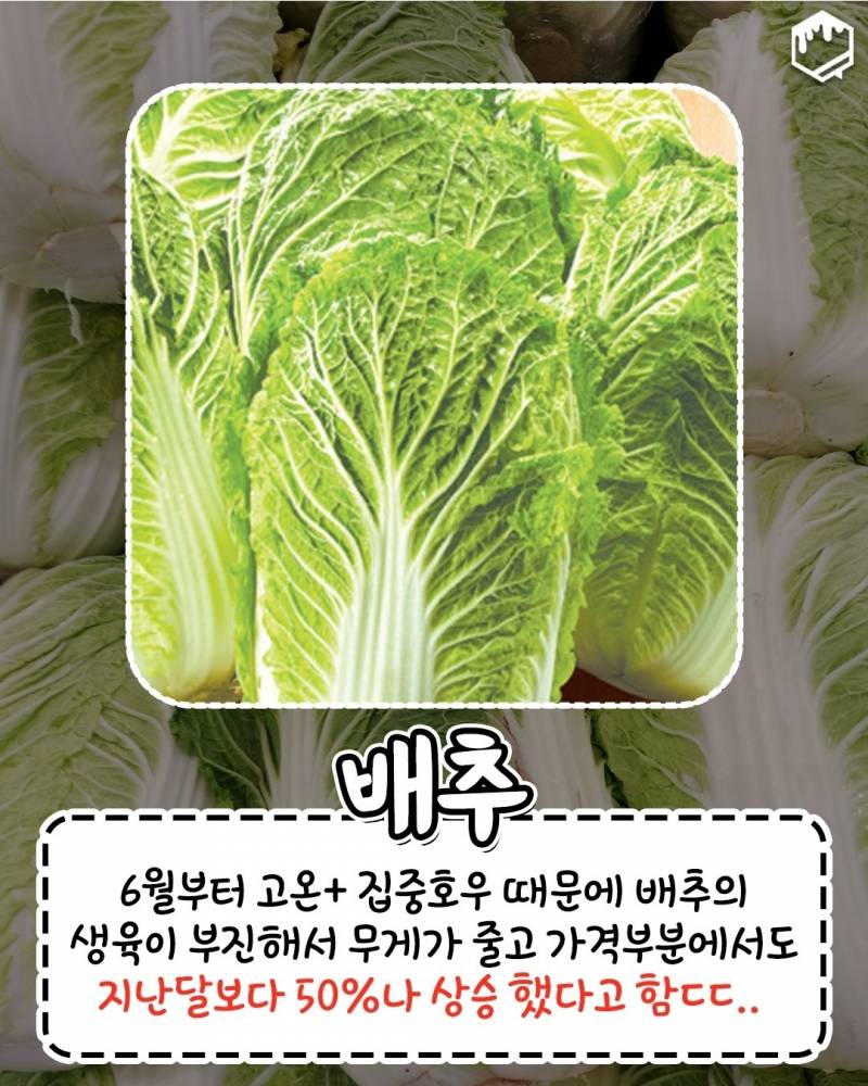 올여름 너무 더워서 이것도.. 없어졌대 | 인스티즈