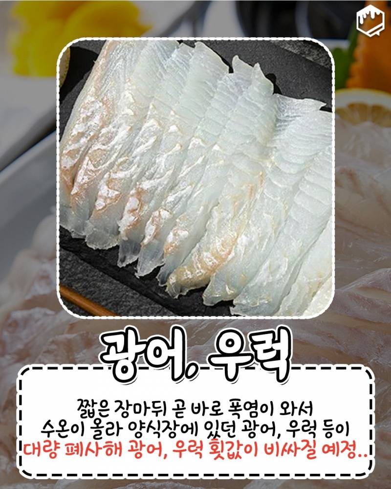 올여름 너무 더워서 이것도.. 없어졌대 | 인스티즈