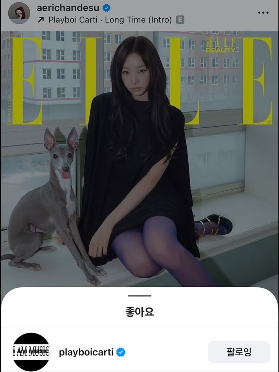 [잡담] 지젤 인스타에 좋아요 누른 플레이보이 카티… | 인스티즈