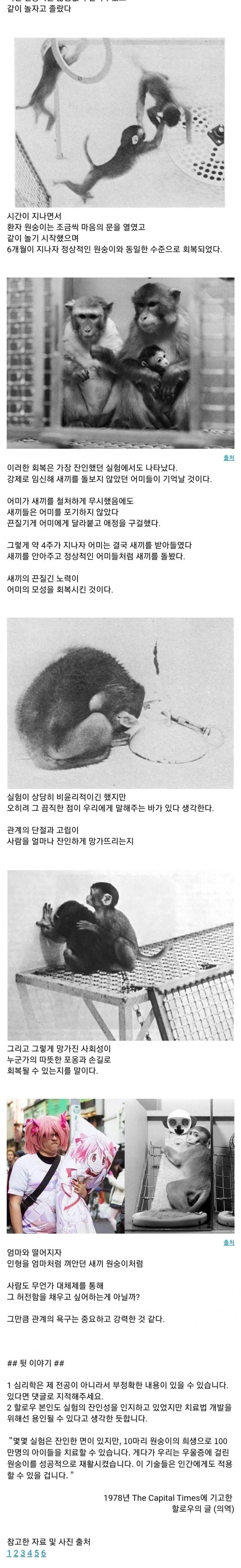 아기원숭이 절망의 구덩이 실험 | 인스티즈