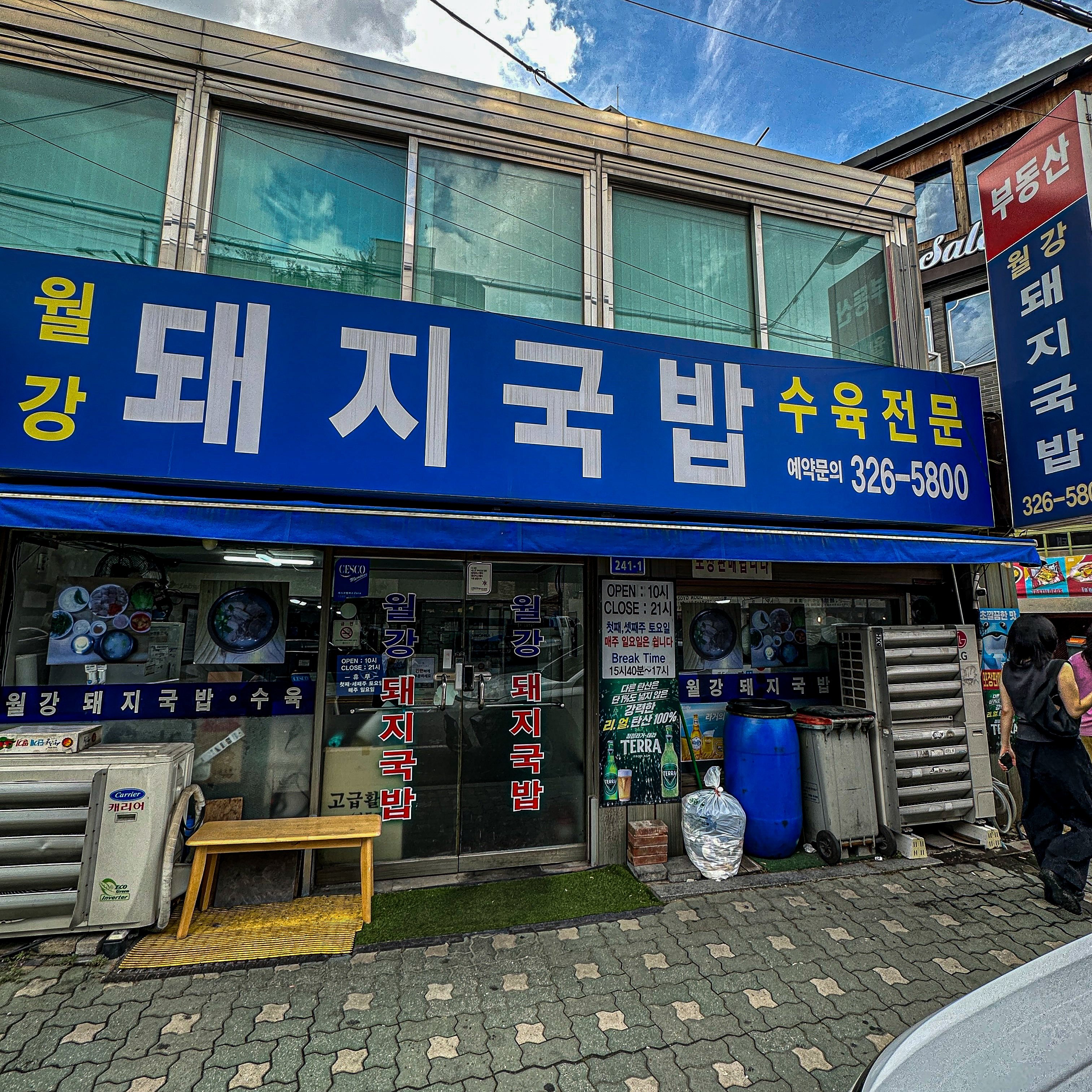 (스압 주의) 홍대에서 35년 살아본 내가 찐으로 추천하는 곳들 | 인스티즈