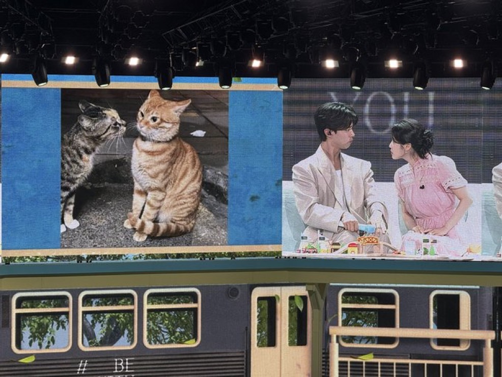 [잡담] 박보검 아이유 고화질 떴다 ㅠㅠ | 인스티즈