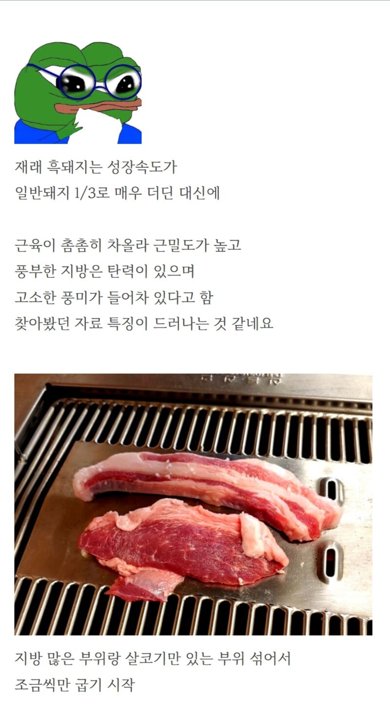 전세계 유일한 토종 흑돼지 집 | 인스티즈