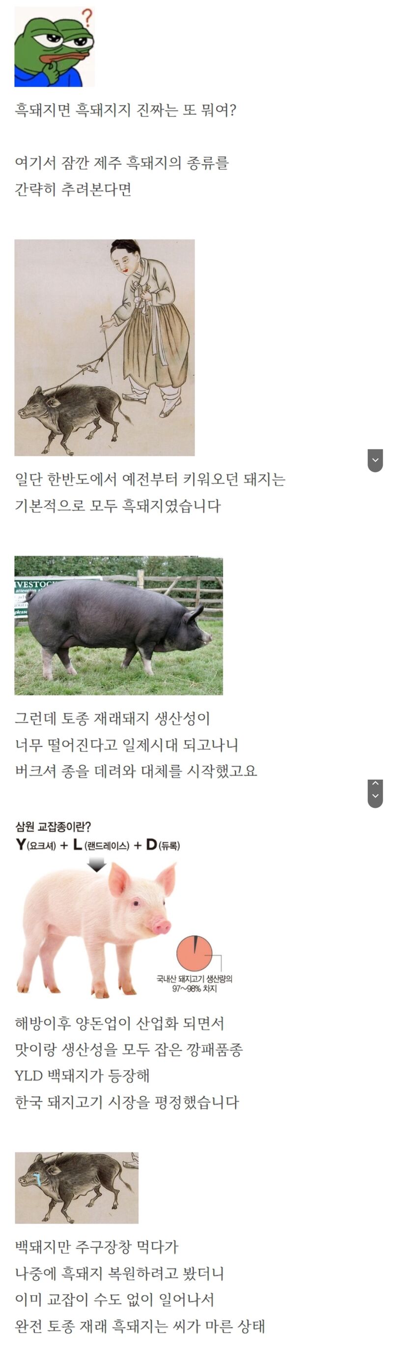 전세계 유일한 토종 흑돼지 집 | 인스티즈