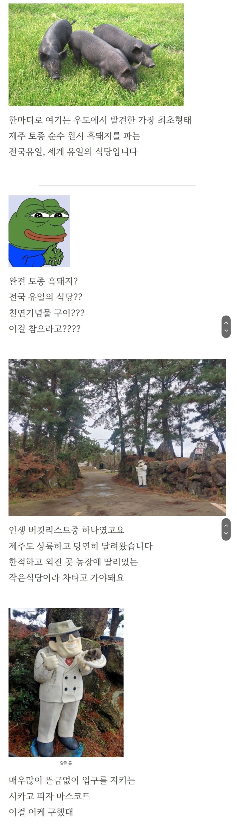 전세계 유일한 토종 흑돼지 집 | 인스티즈