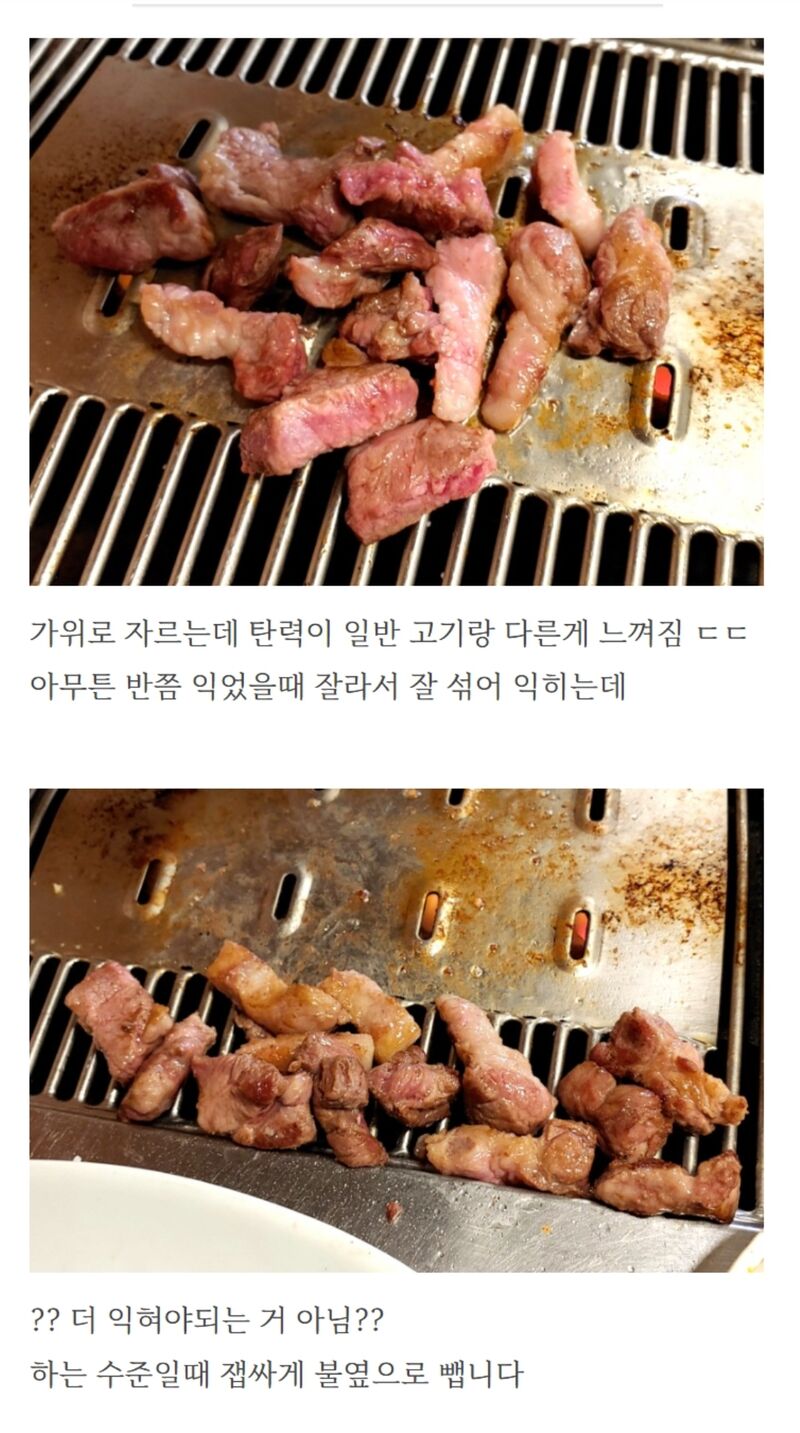 전세계 유일한 토종 흑돼지 집 | 인스티즈