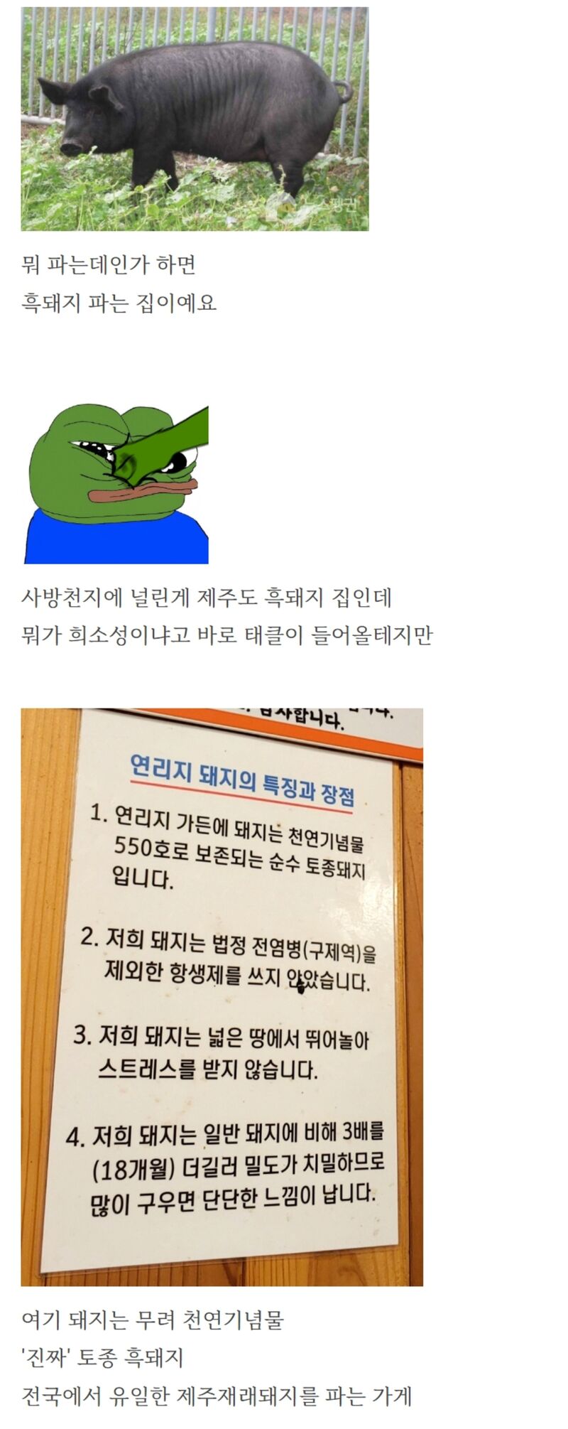 전세계 유일한 토종 흑돼지 집 | 인스티즈