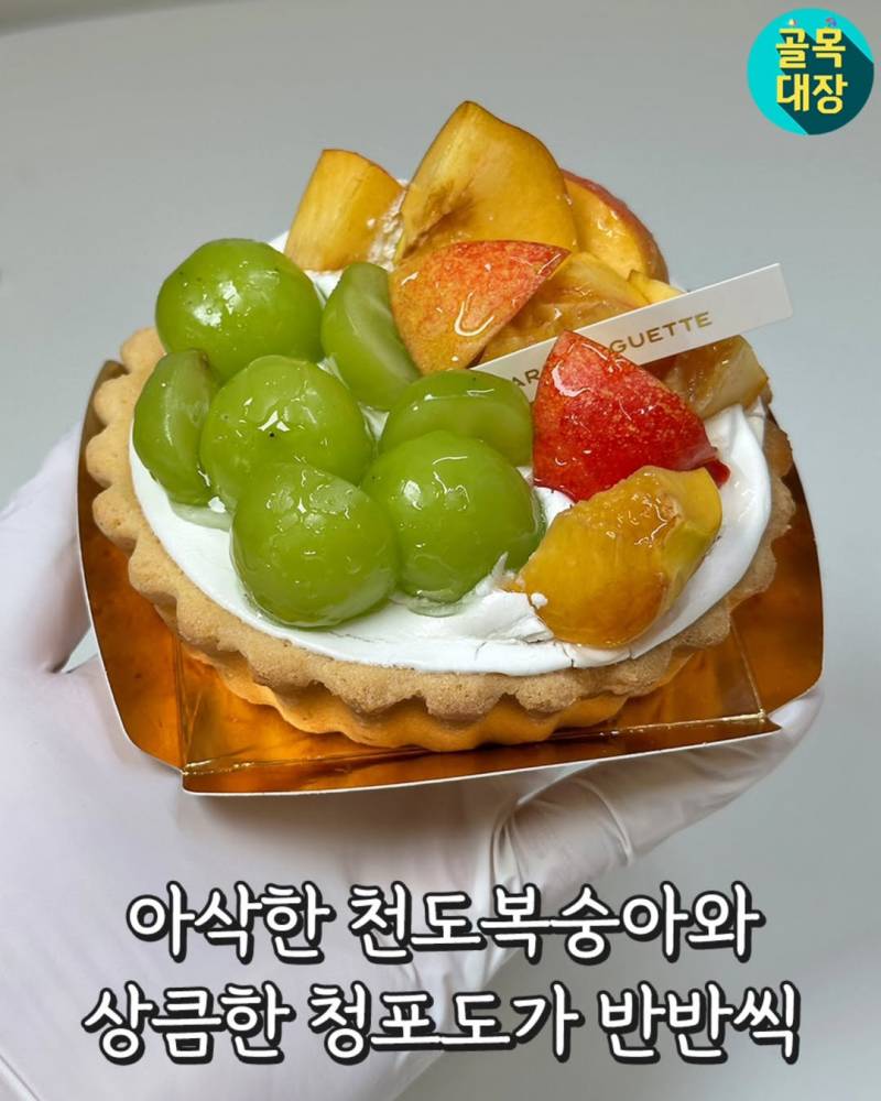 현재 반응 터진(n) 파리바게뜨 과일 타르트.JPG | 인스티즈